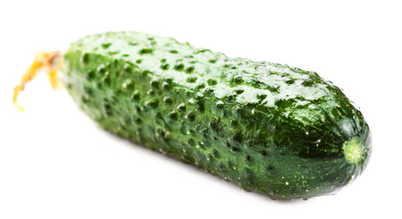 Fresh  Cucumber isolated on white background close up. High reso