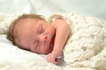 Obraz na płótnie Canvas Newborn