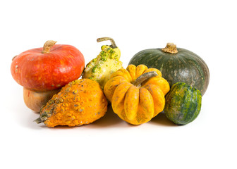 Autumn - Decorative pumpkins on white background