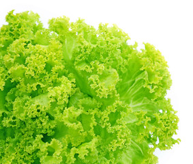 Fresh lettuce isolated on white