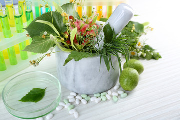 Herbs in mortar, test tubes and pills,  on table, on light background
