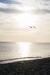 Beautiful sunset on the sea in summer
