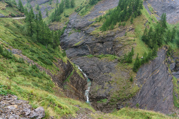 Bergflanke mit Bäumen, Gräsern und Felsen