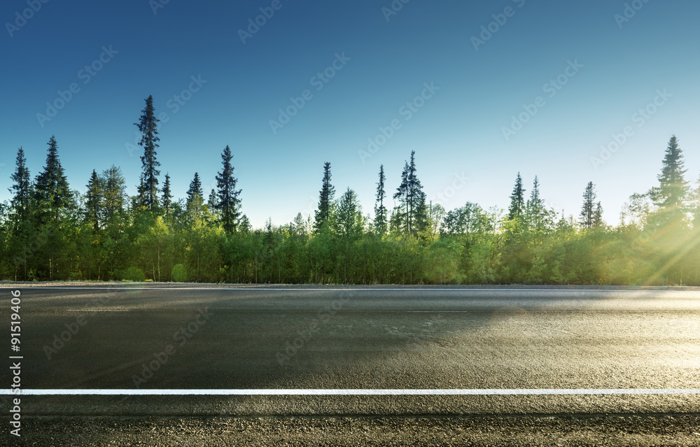 Sticker asphalt road in forest