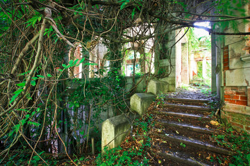 Abandoned castle in the jungle