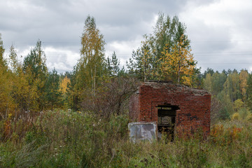 abandoned box of red brick in the autumn forest