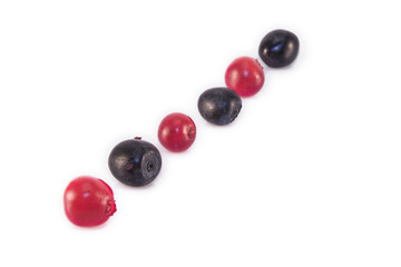 Lingonberries and bilberries isolated