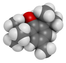 Butylated hydroxytoluene (BHT) antioxidant molecule.