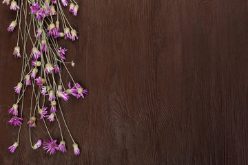 Obraz na płótnie Canvas Wildflowers on wooden background