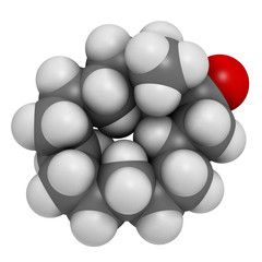 Muscone musk odor molecule. Atoms are represented as spheres.