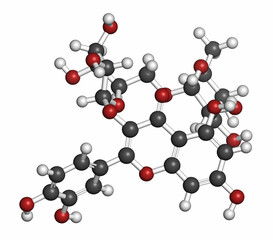 Rutin (rutoside, sophorin) molecule. 