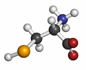 Selenocysteine (Sec, U) amino acid molecule. 