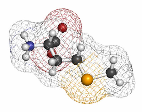 Selenomethionine amino acid molecule. 