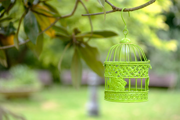 green empty cage in a park