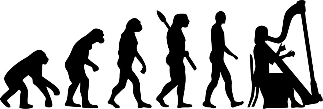 Harp player evolution