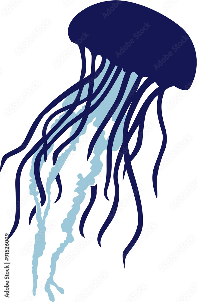 Poster Real Jellyfish silhouette in two colors