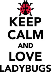 Keep calm and love Ladybugs