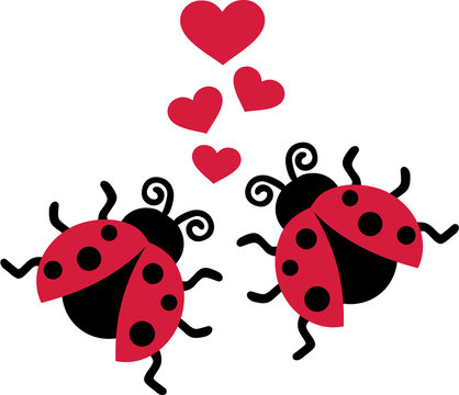 Two Ladybugs in love