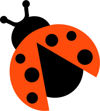 Ladybug with open wings