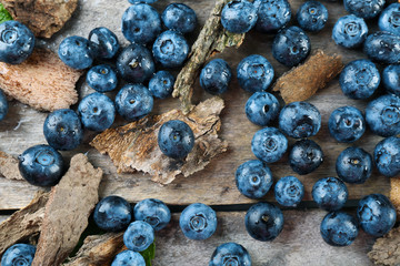Tasty ripe blueberries on wooden table close up