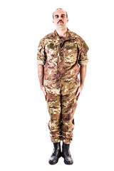 Soldier at Attention