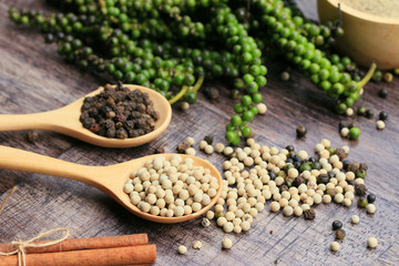 Fresh green pepper seeds and dried grain
