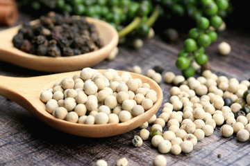 Fresh green pepper seeds and dried grain