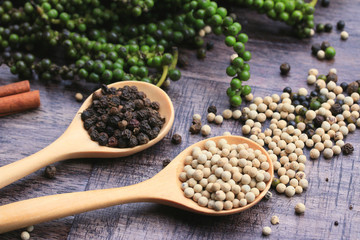 Fresh green pepper seeds and dried grain