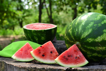 Fresh watermelon on stump of tree, closeup