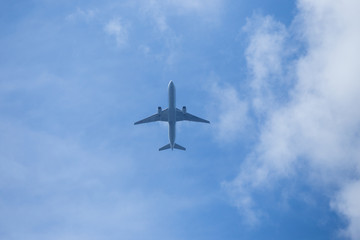 飛行機
