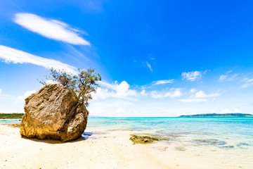Sea, reef, rock, landscape. Okinawa, Japan, Asia.