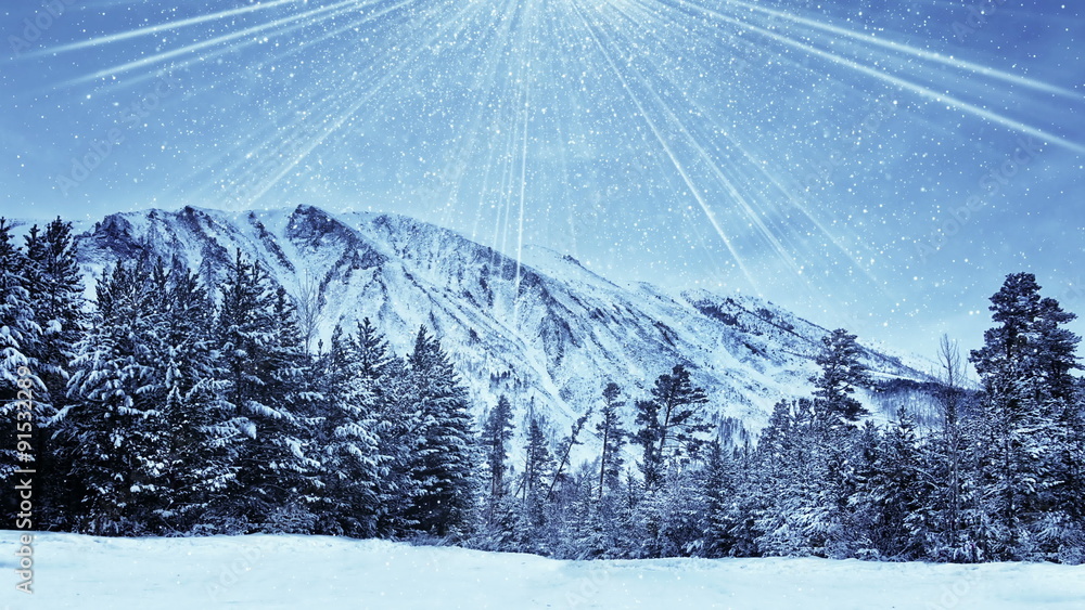 Poster wintry forest and magic snowfall seamless loop