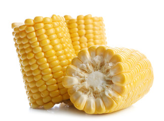 Ripe corn isolated on white