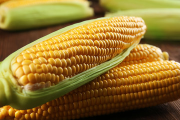 Ripe corn on wooden background