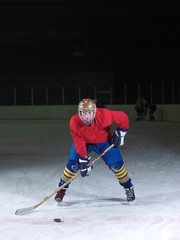 Obraz premium ice hockey player in action