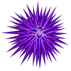 Purple spike ball on white