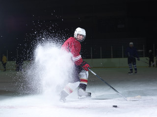Fototapeta premium ice hockey player in action