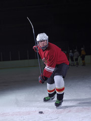 ice hockey player in action