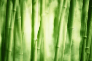 Vlies Fototapete Blumen und Pflanzen Bambus