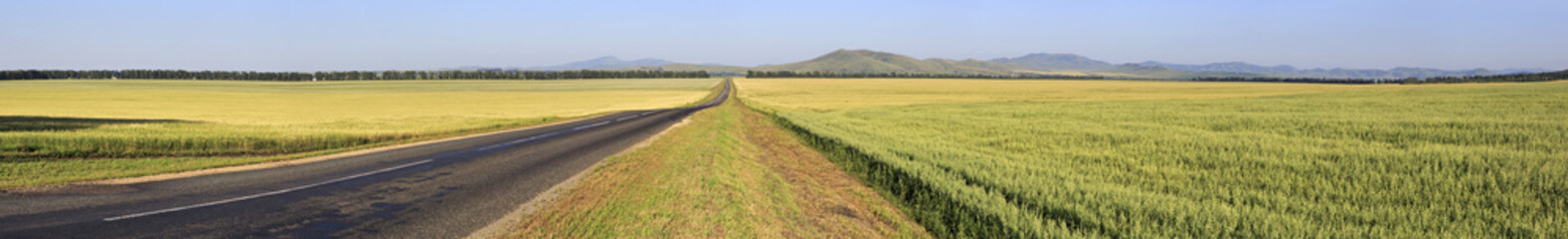 Beautiful panorama the road among farm fields.