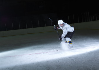 ice hockey player in action