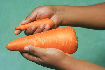 GMO carrot - obrazy, fototapety, plakaty