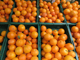 Fresh oranges on the market