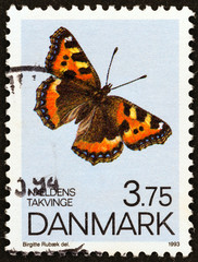 Fototapeta na wymiar Small Tortoiseshell butterfly (Denmark 1993)