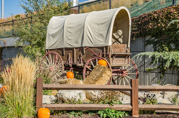 Covered Wagon with Pumpkins