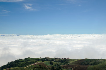 Green hill under the blue sky
