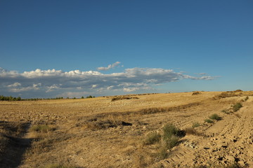 Naklejka premium Andalousie, Espagne