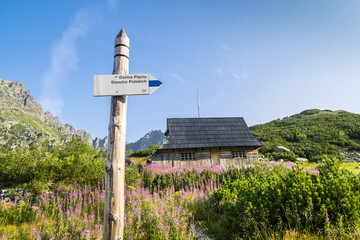 Wooden hut on flowery meadow in Tatra Mountains