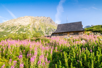 Panele Szklane  Drewniana chata na kwiecistej łące w Tatrach