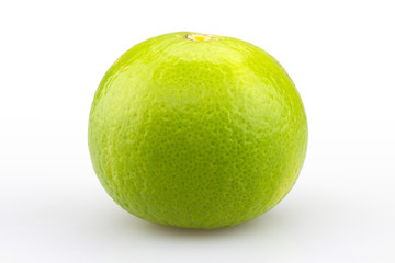 lime on white background